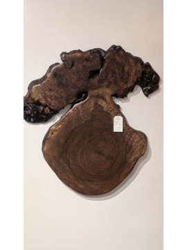 Claro Walnut Burl Wall Art Slab